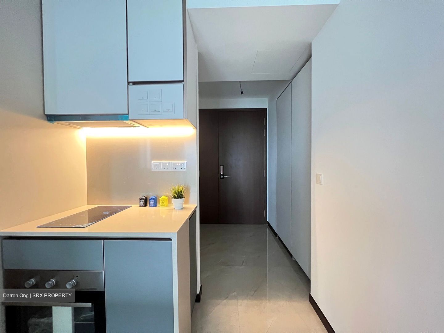 Normanton Park (D5), Apartment #519802291